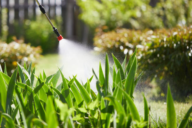 24/7 Emergency Mosquito Control experts in Sumner, IA